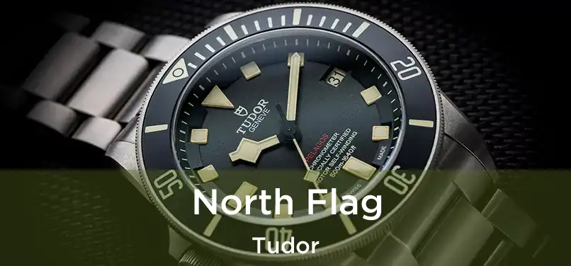  North Flag Tudor