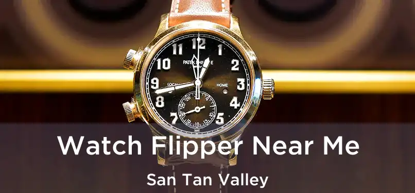  Watch Flipper Near Me San Tan Valley